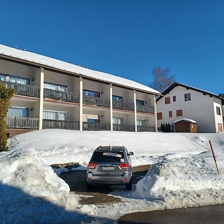 Schoene Ferienwohnung Im Suedschwarzwald Herrischried Kültér fotó